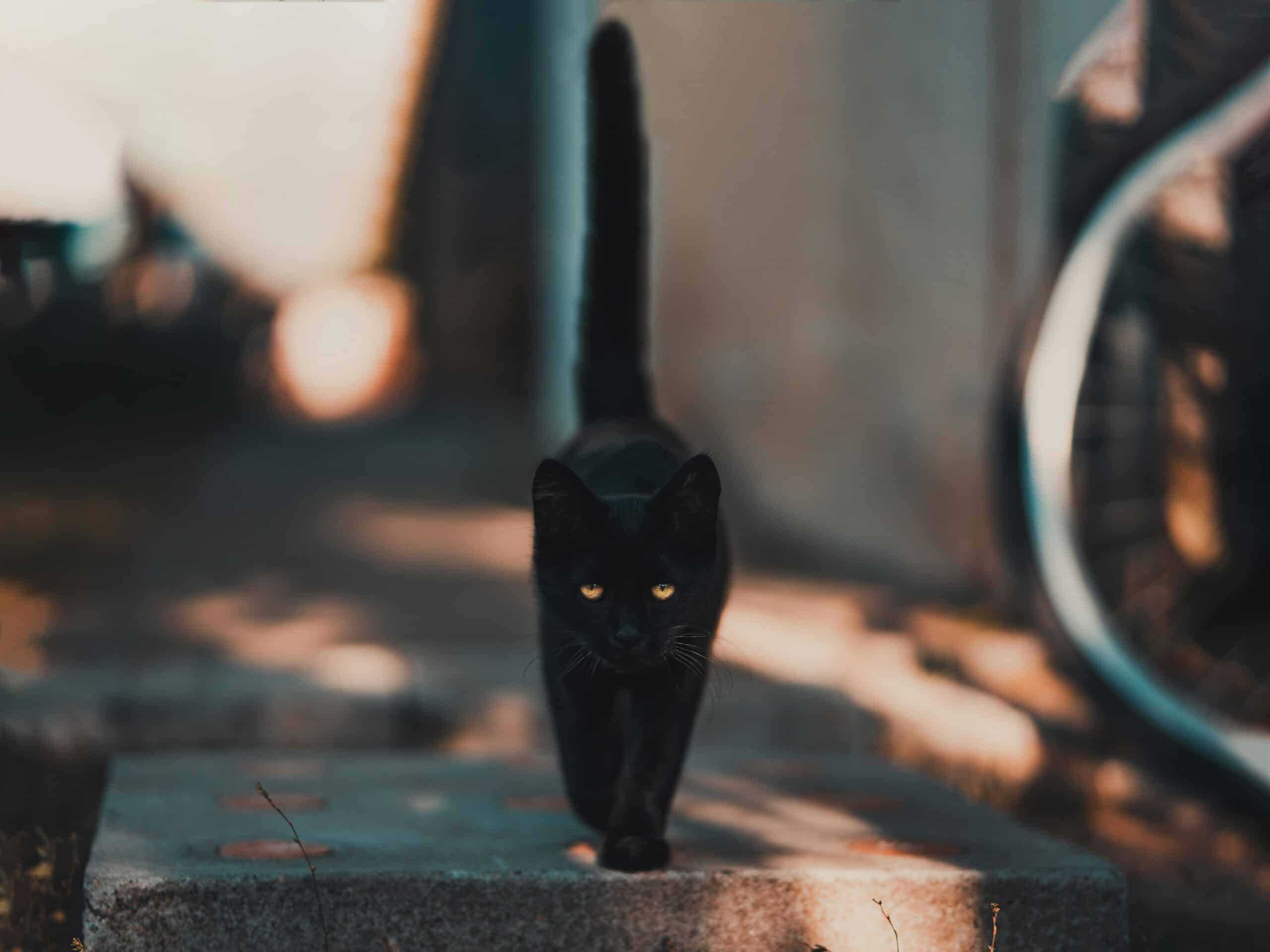 Greek Folk Beliefs and Superstitions: Do